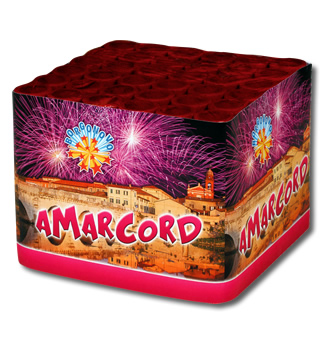 0918B amarcord